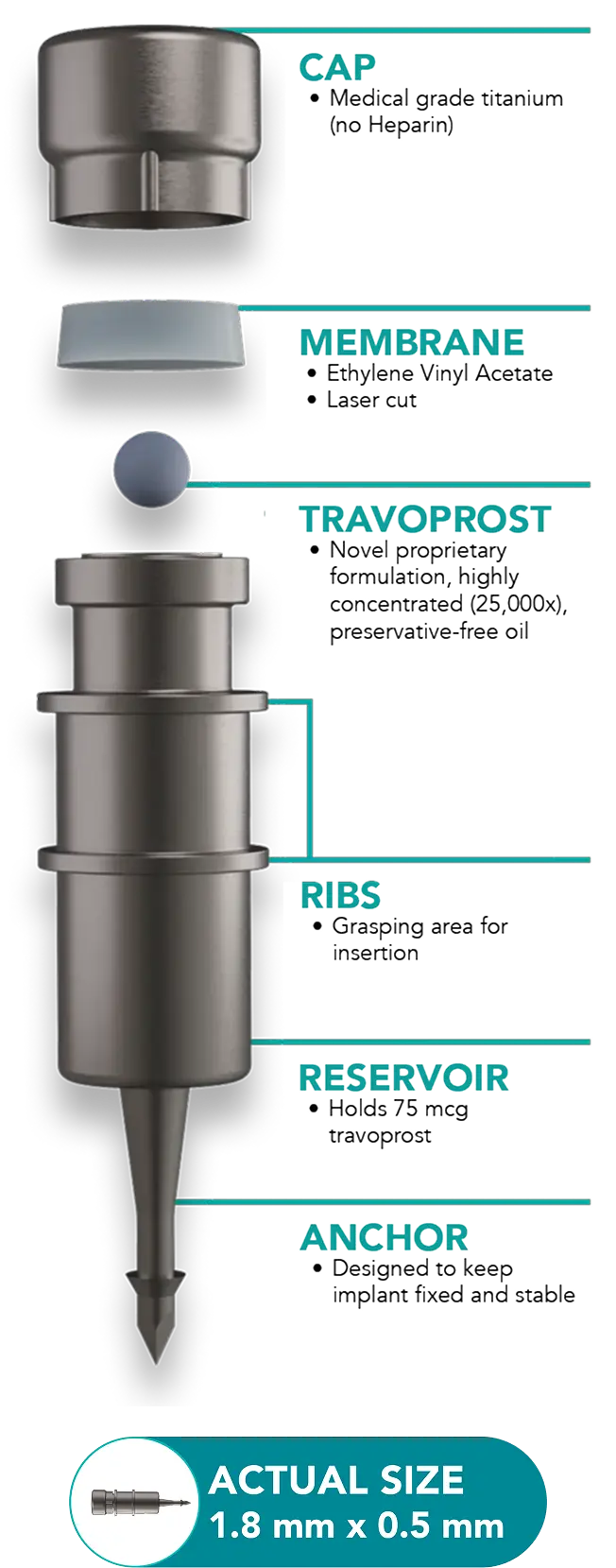 View of the applicator's parts with 'for-scale' reference
